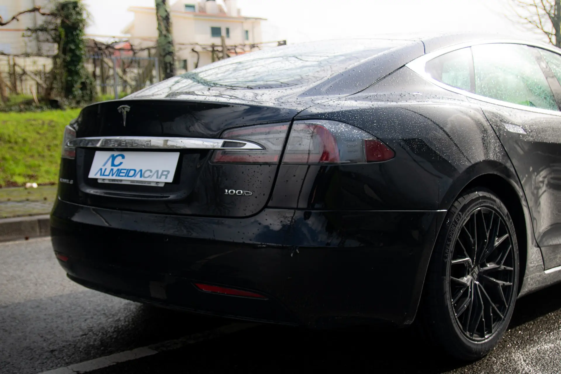 Tesla Model S 100D 24