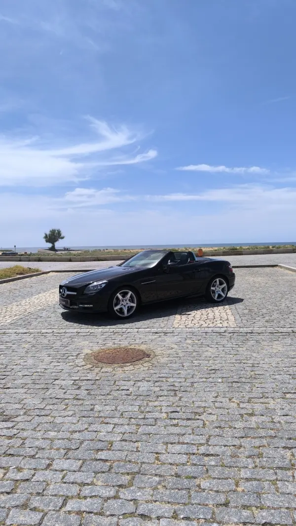 Mercedes-Benz SLK 250 (BlueEFFICIENCY) 7G-TRONIC 2