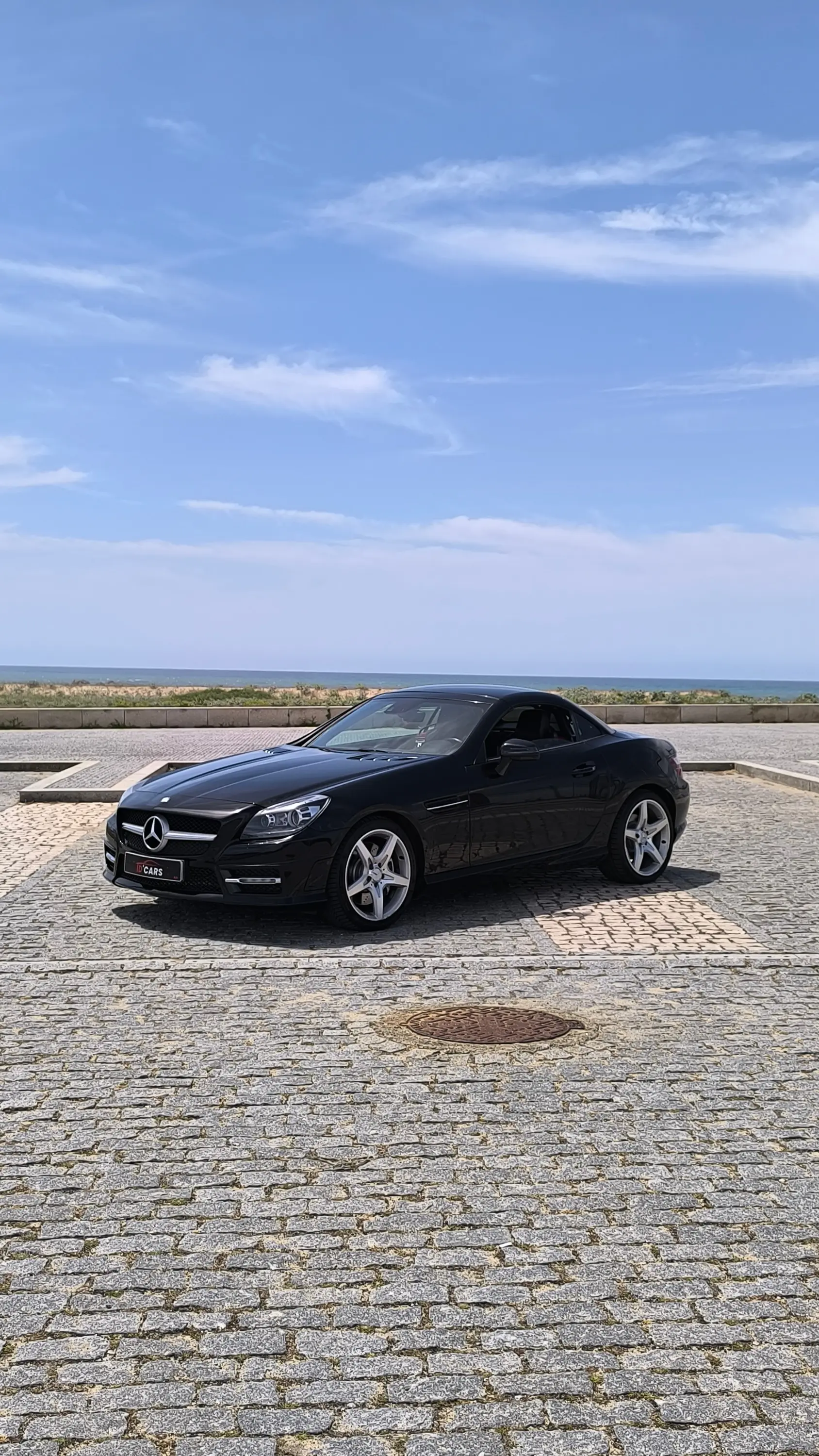 Mercedes-Benz SLK 250 (BlueEFFICIENCY) 7G-TRONIC 7