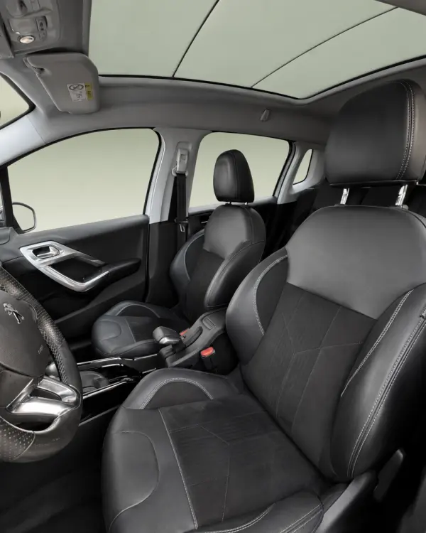 Peugeot 2008 Outro 6