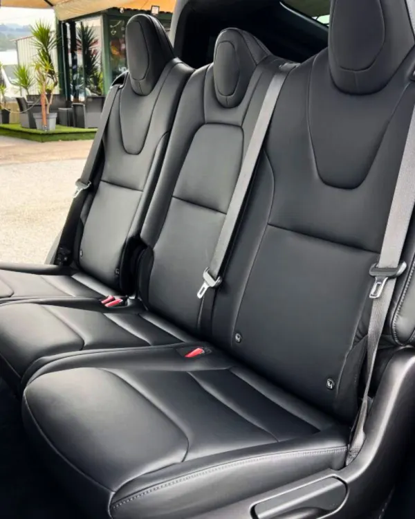 Tesla Model X 100D 7