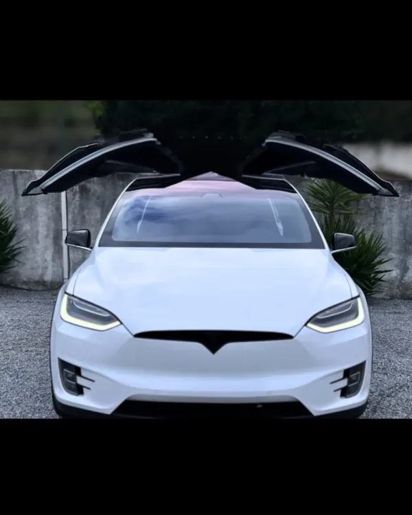 Tesla Model X 100D 2