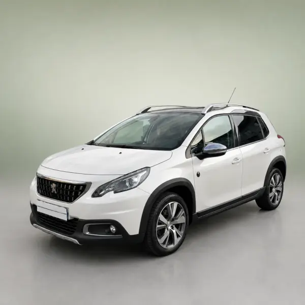 Peugeot 2008 Outro 2