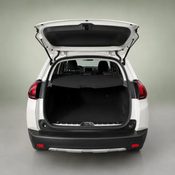 Peugeot 2008 Outro 4