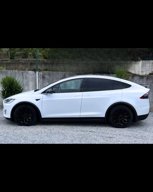 Tesla Model X 100D 4
