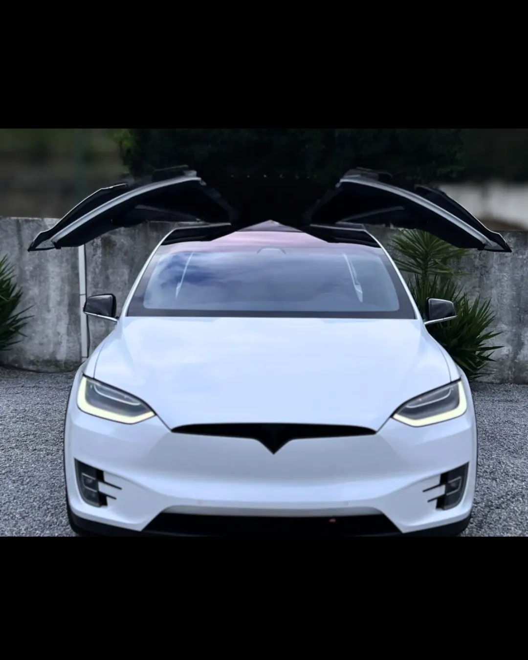 Tesla Model X 100D 2