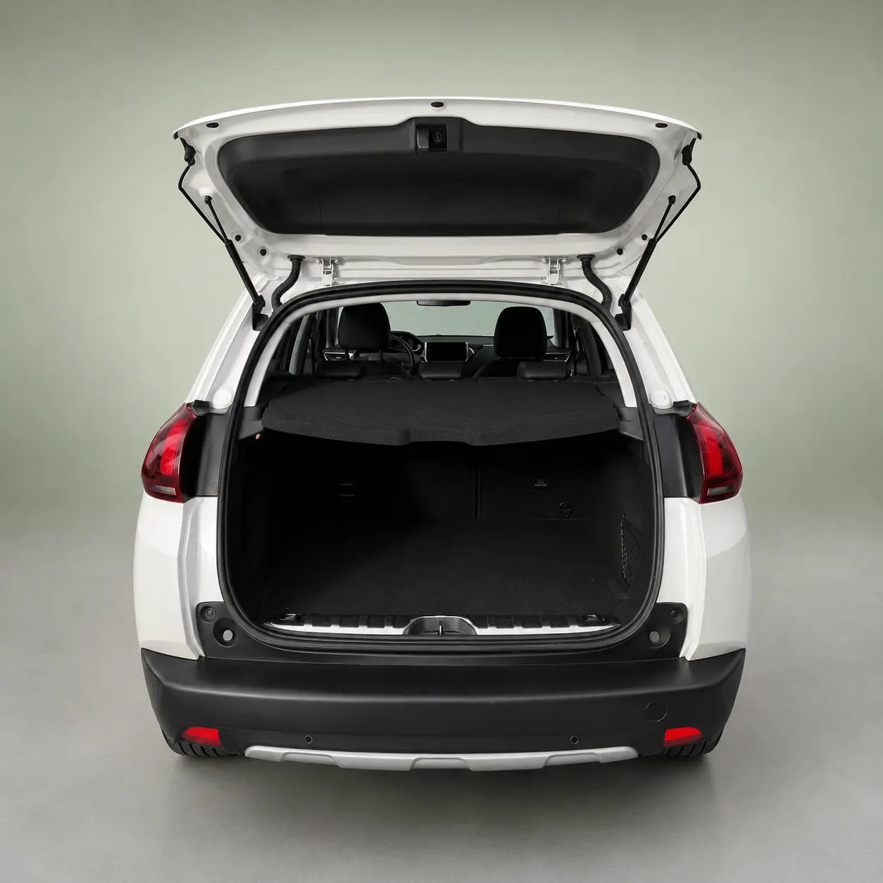 Peugeot 2008 Outro 4