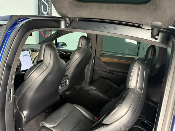 Tesla Model X 100D 25