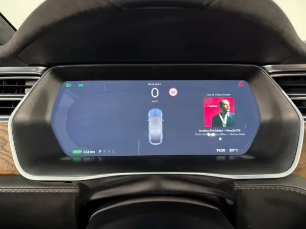 Tesla Model X 100D 14