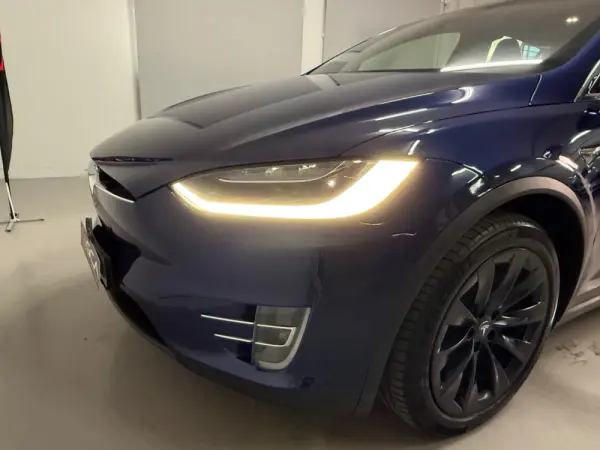 Tesla Model X 100D 30