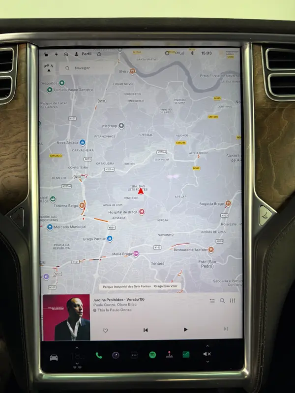 Tesla Model X 100D 16