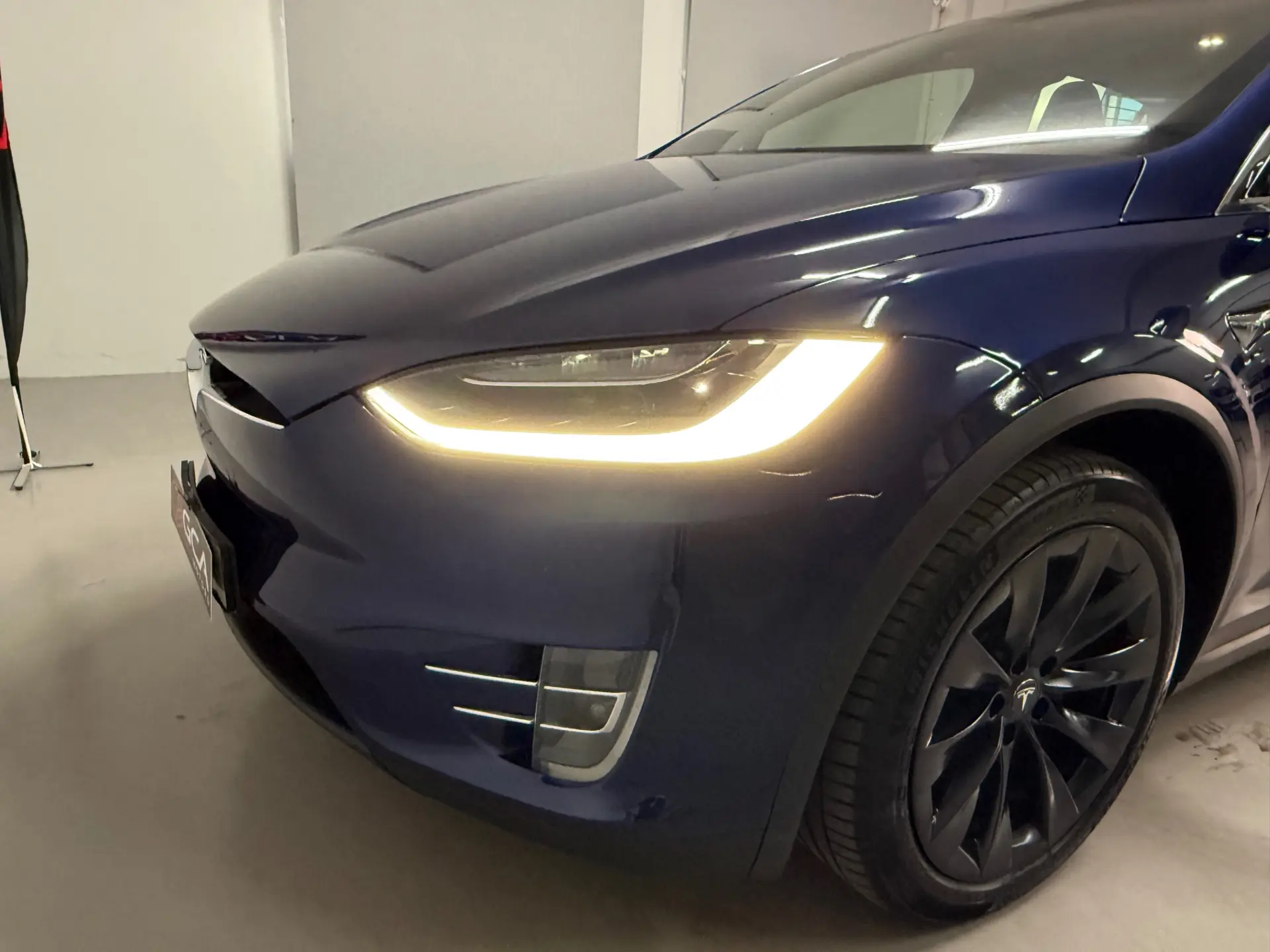 Tesla Model X 100D 30