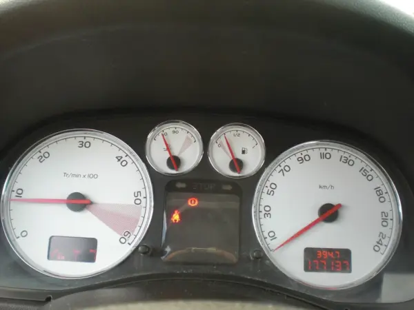 Peugeot 307 1.6 HDi SE Navteq 19