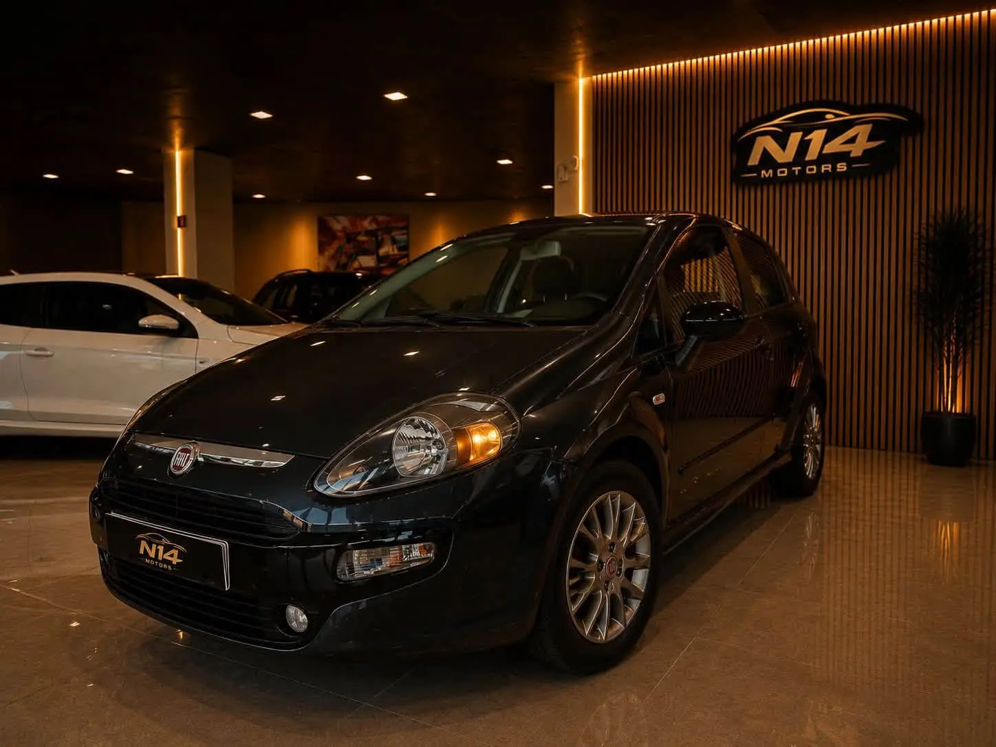 Fiat Punto ZFA19900000732398 1