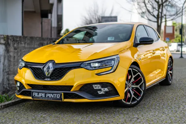 Renault Mégane 1.8 TCe R.S. Trophy 44