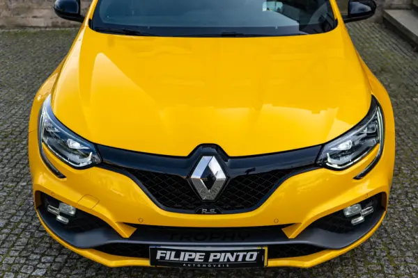 Renault Mégane 1.8 TCe R.S. Trophy 51