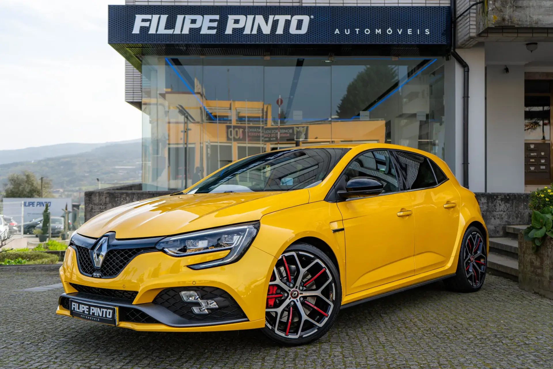 Renault Mégane 1.8 TCe R.S. Trophy 6