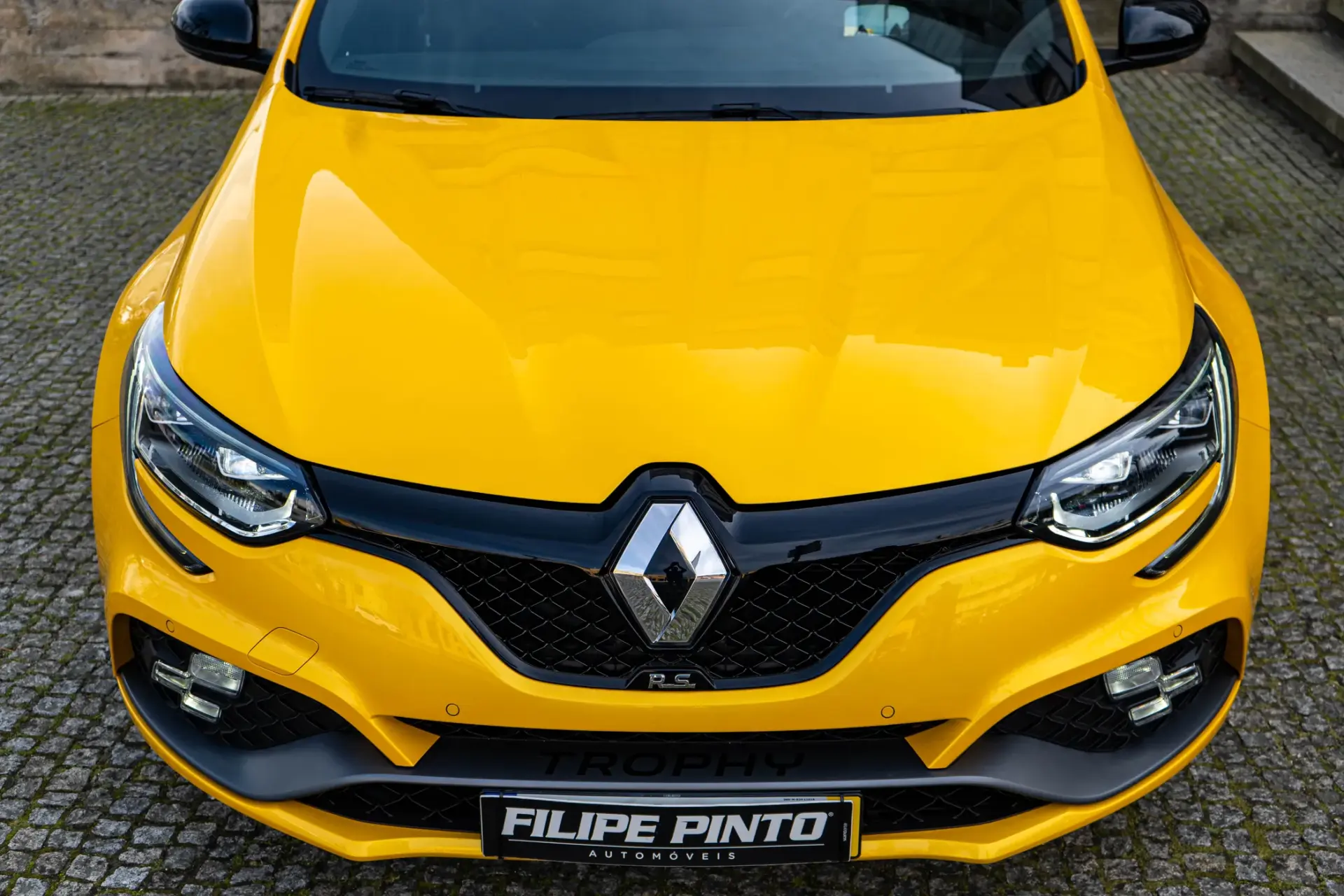 Renault Mégane 1.8 TCe R.S. Trophy 51