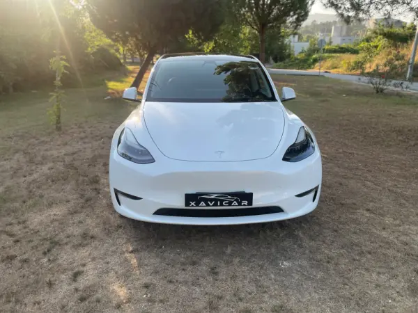 Tesla Model Y Long Range Dual Motor AWD 33