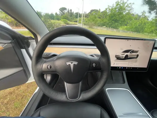Tesla Model 3 Performance Dual Motor AWD 17