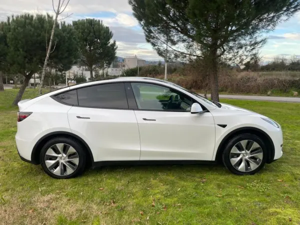 Tesla Model Y RWD 2