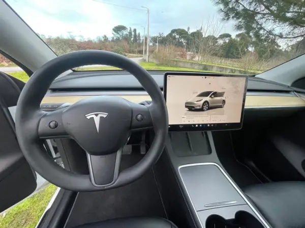 Tesla Model Y RWD 16