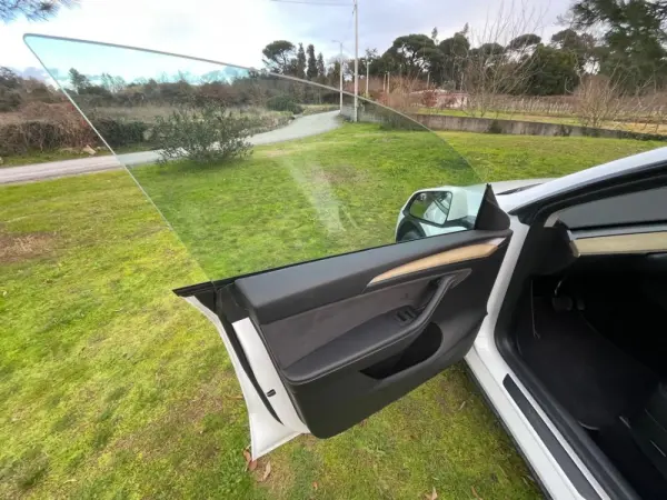 Tesla Model Y RWD 19