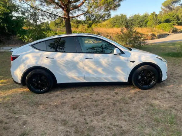 Tesla Model Y Long Range Dual Motor AWD 30