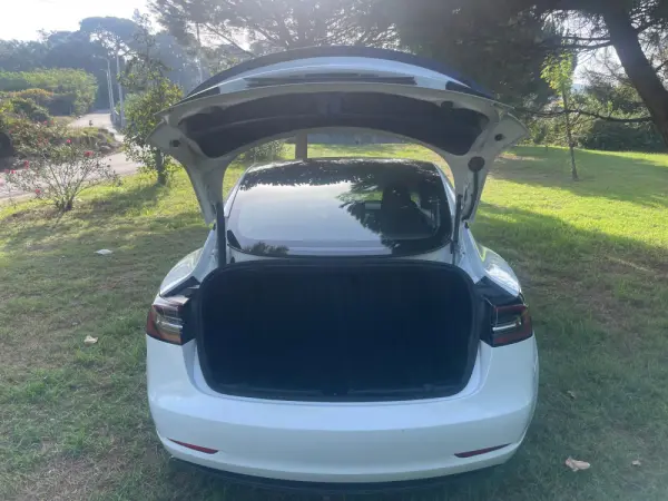 Tesla Model 3 Long Range Tração Integral 34