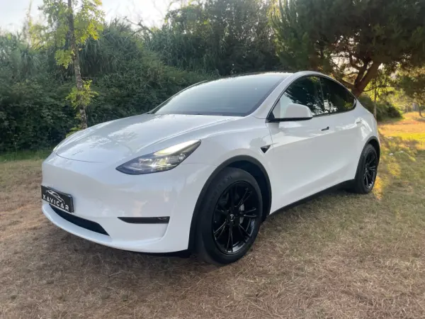 Tesla Model Y Long Range Dual Motor AWD 31