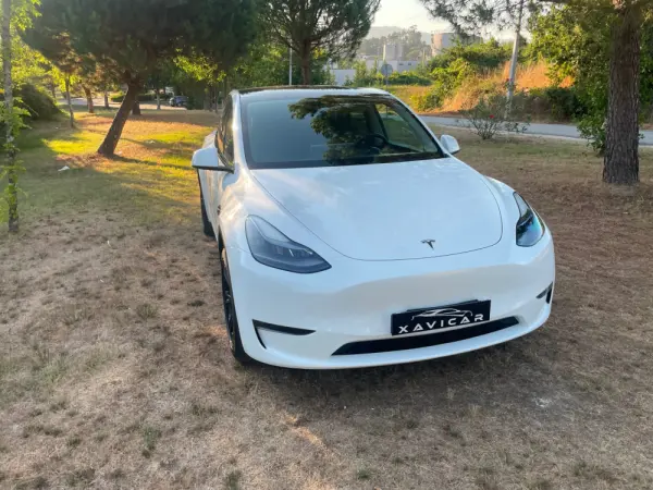 Tesla Model Y Long Range Dual Motor AWD 28