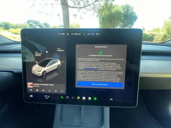 Tesla Model 3 Long Range Tração Integral 11