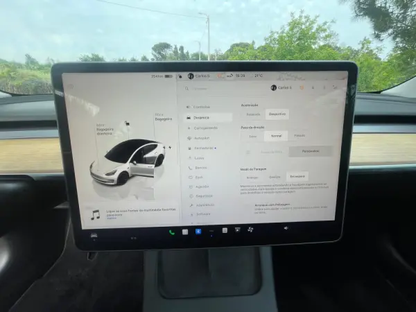 Tesla Model 3 Performance Dual Motor AWD 14