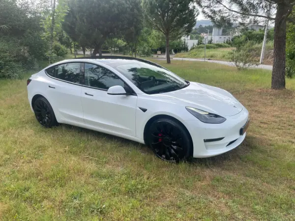 Tesla Model 3 Performance Dual Motor AWD 14