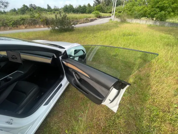 Tesla Model 3 Performance Dual Motor AWD 19