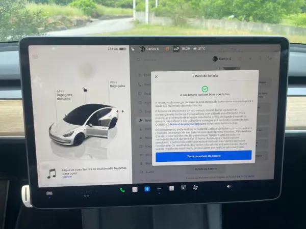 Tesla Model 3 Performance Dual Motor AWD 20