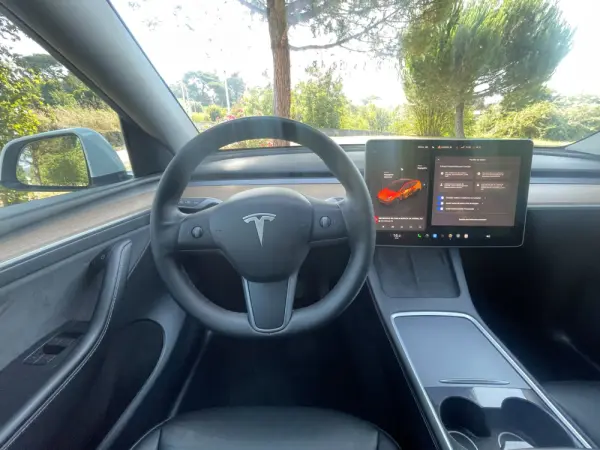 Tesla Model Y Long Range Dual Motor AWD 17