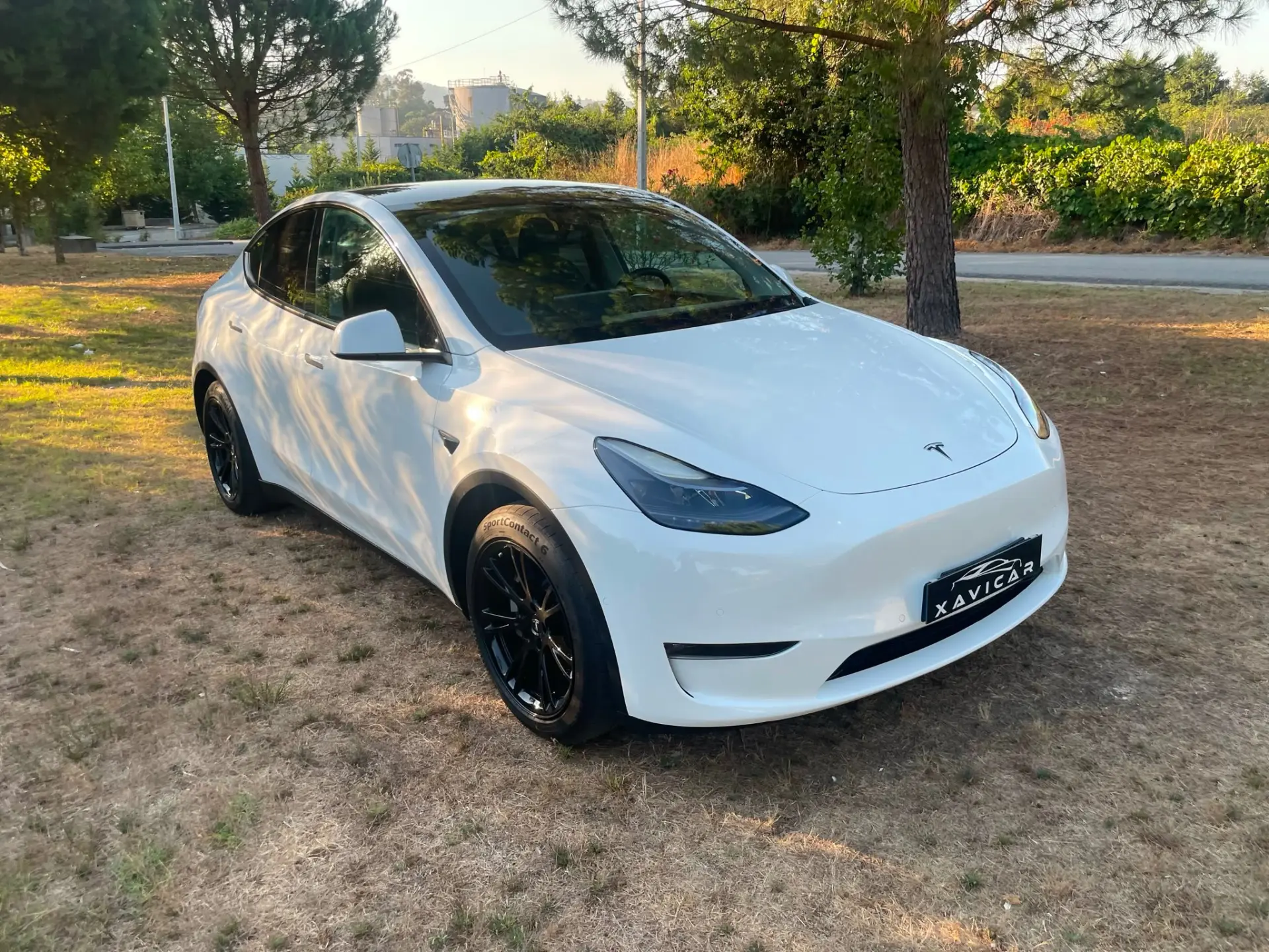 Tesla Model Y Long Range Dual Motor AWD 27