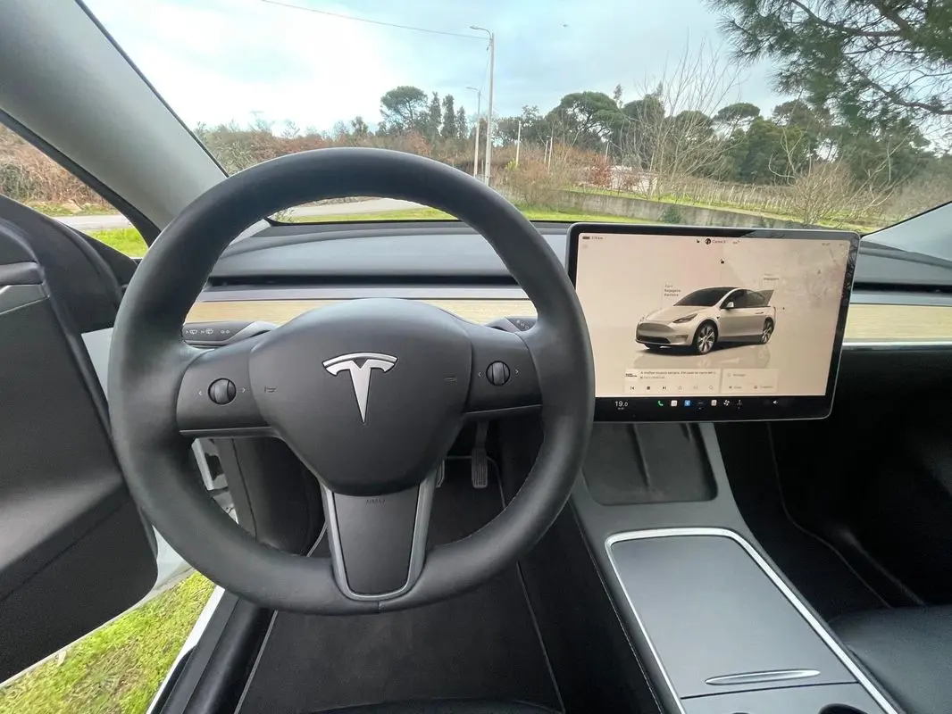 Tesla Model Y RWD 14