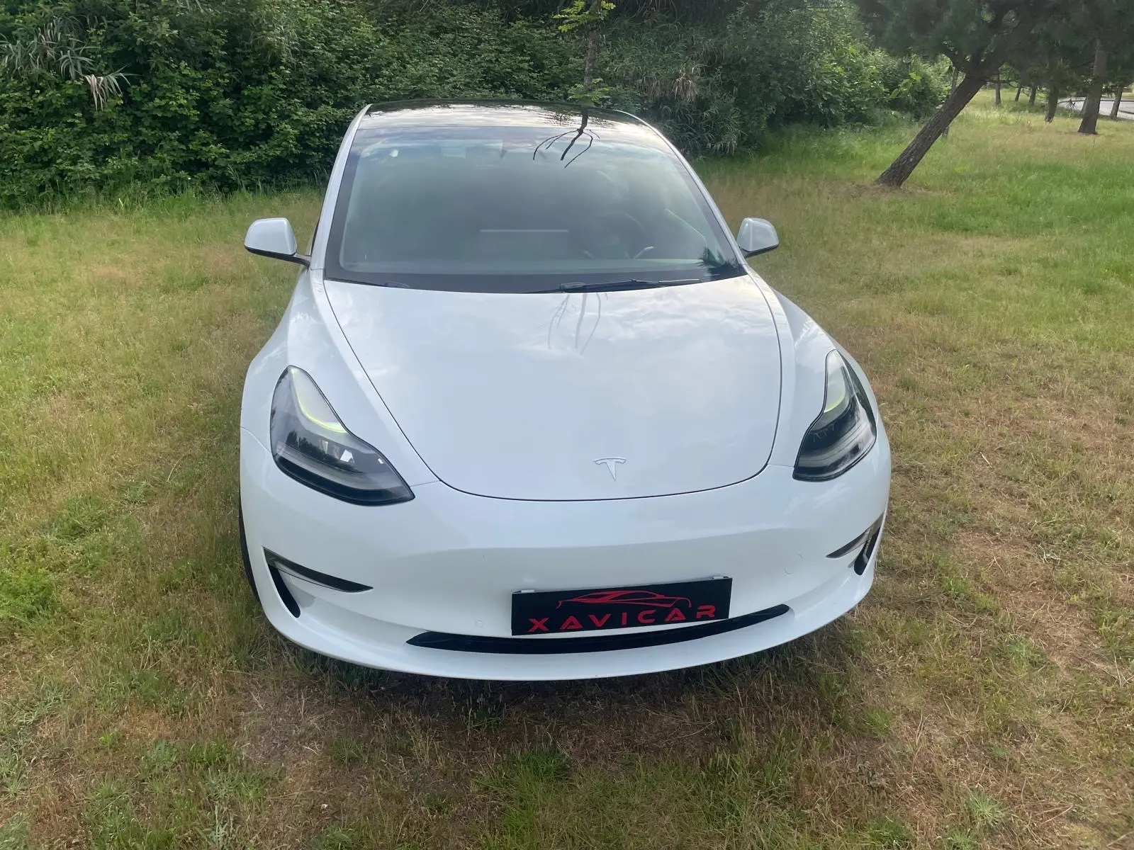 Tesla Model 3 Performance Dual Motor AWD 30