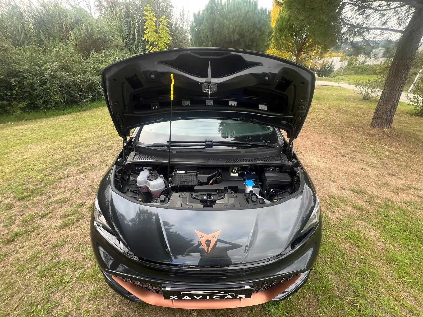 Cupra Born 170kW/77kWh 41
