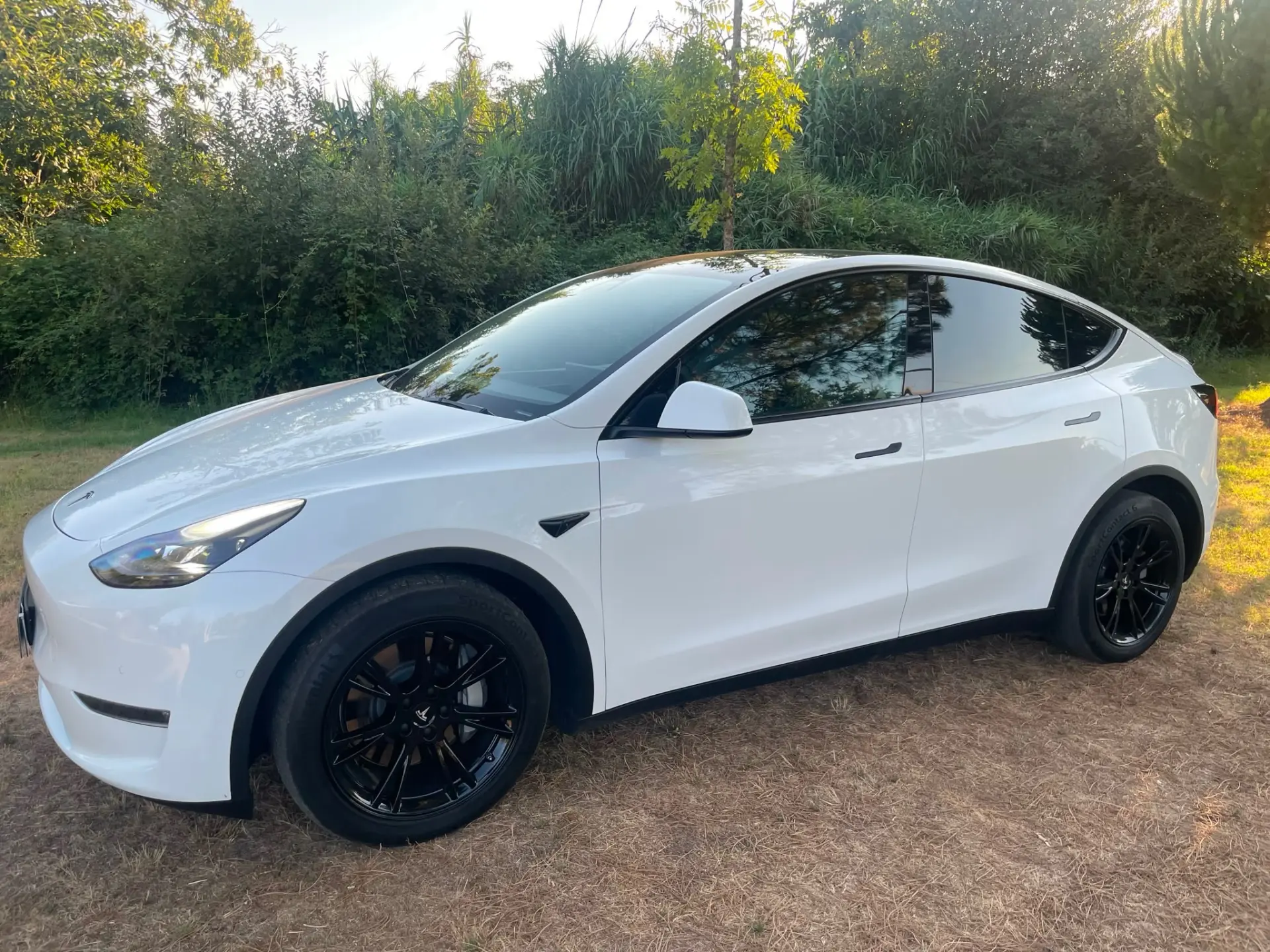 Tesla Model Y Long Range Dual Motor AWD 39