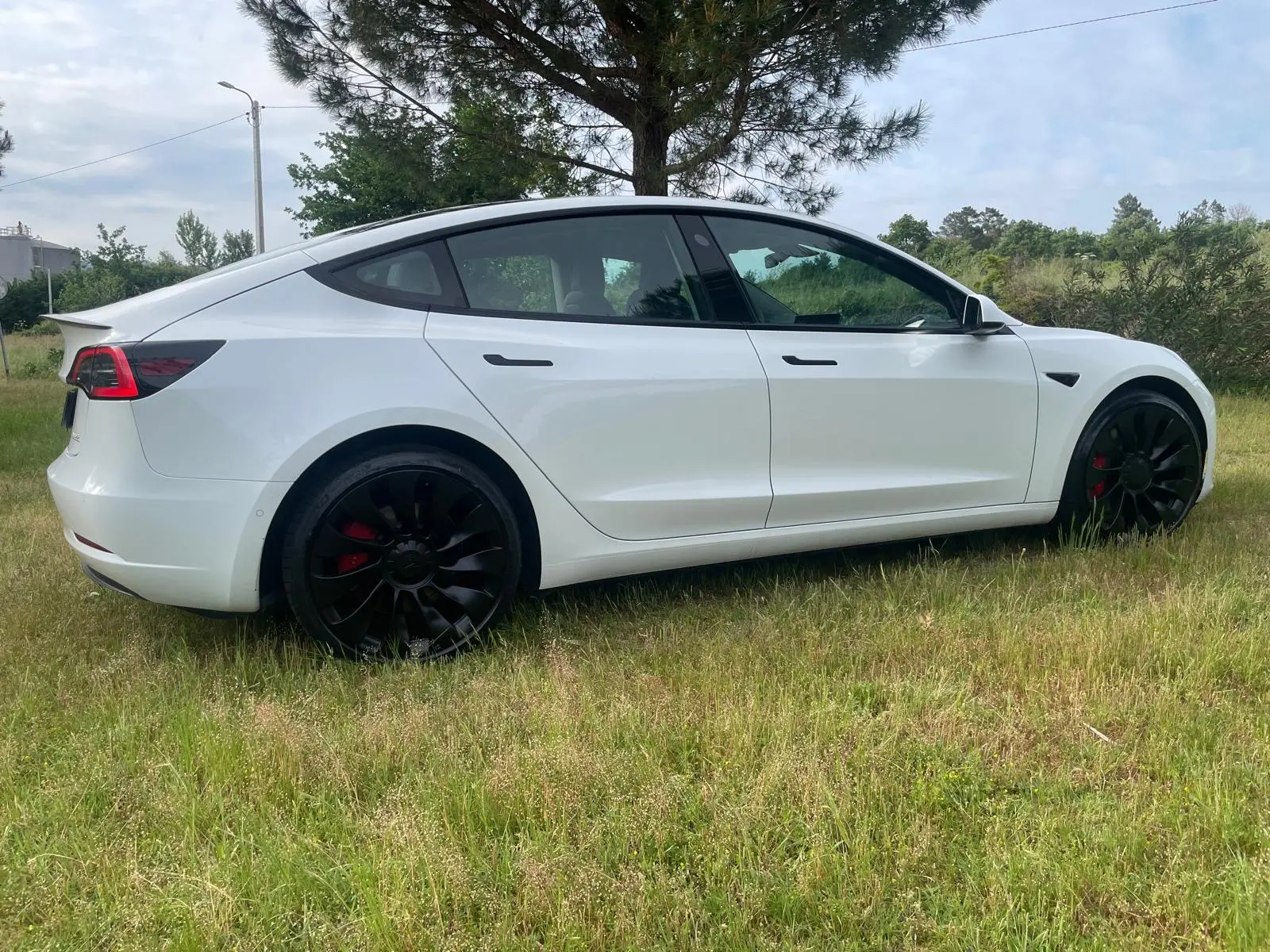 Tesla Model 3 Performance Dual Motor AWD 2