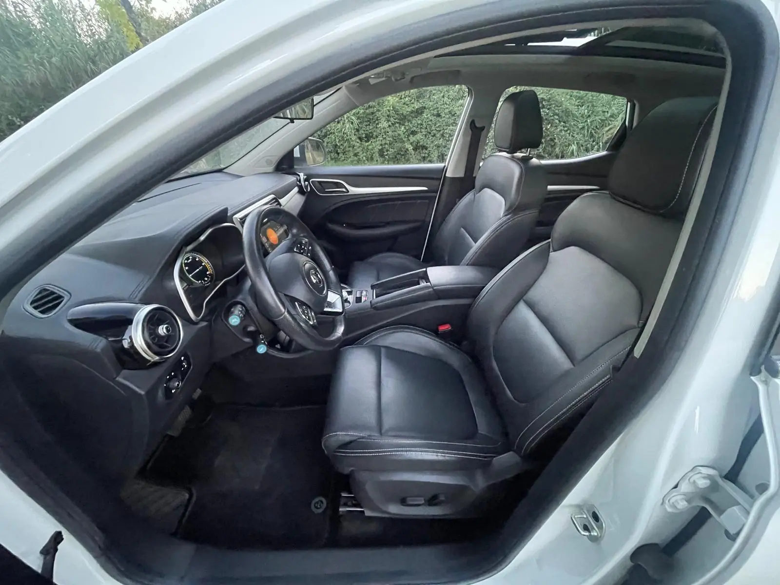 MG ZS Luxury 19