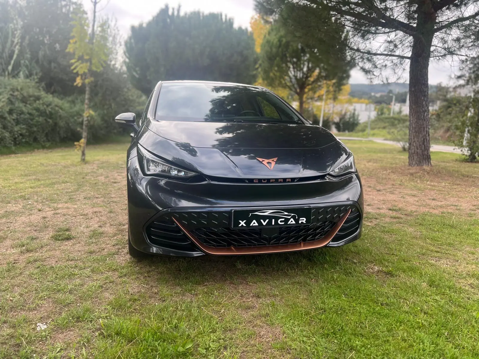 Cupra Born 170kW/77kWh 17