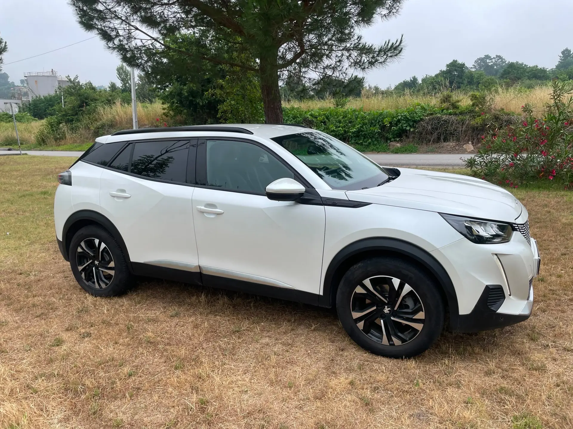 Peugeot e-2008 Allure 7