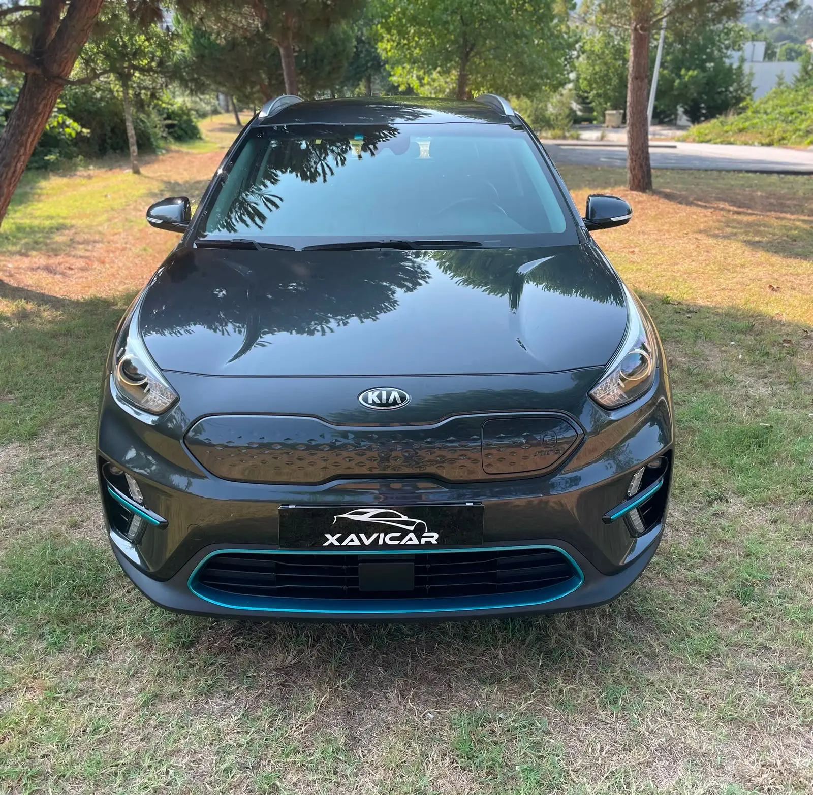 Kia e-Niro 64kWh 13