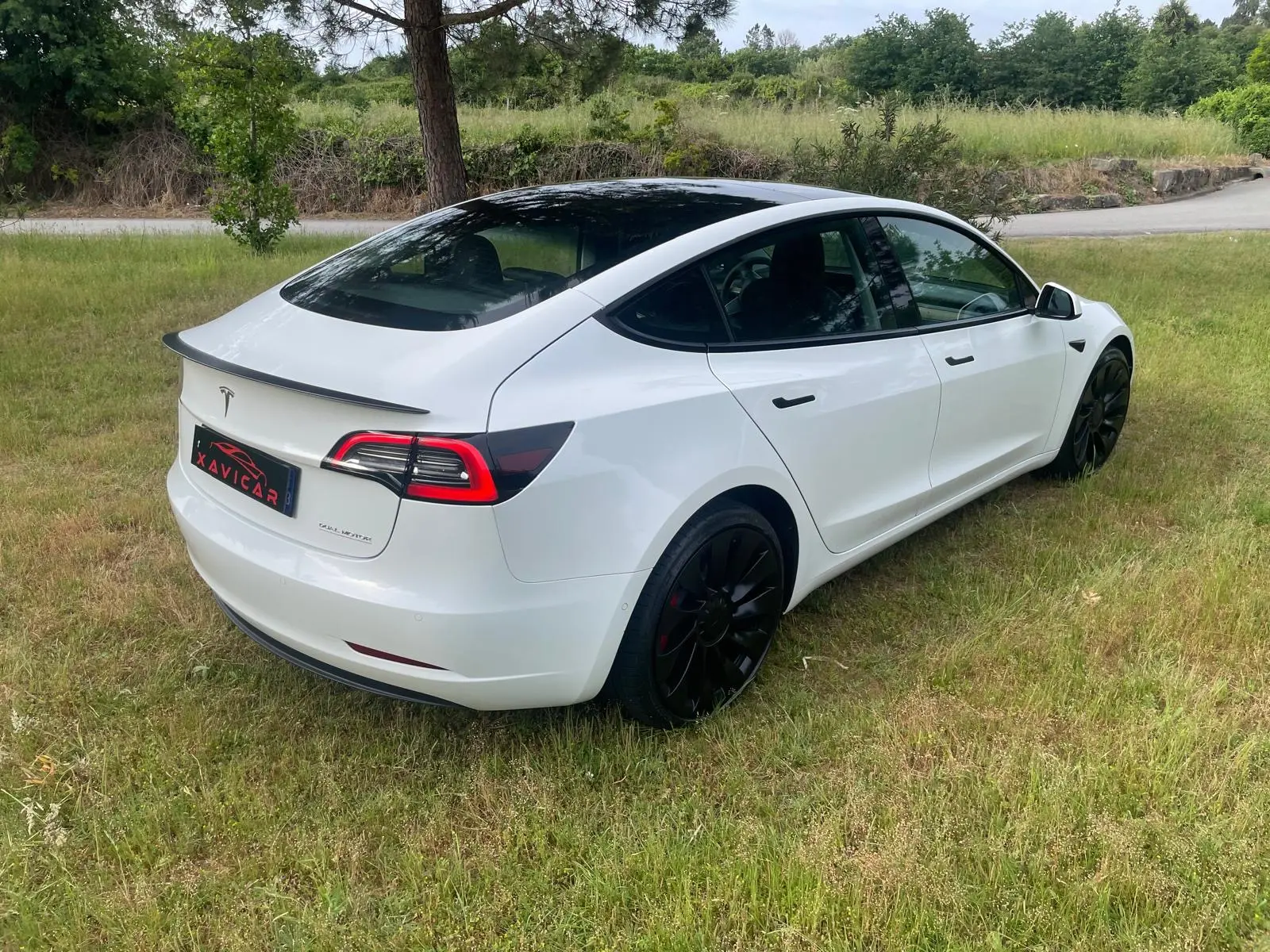 Tesla Model 3 Performance Dual Motor AWD 15