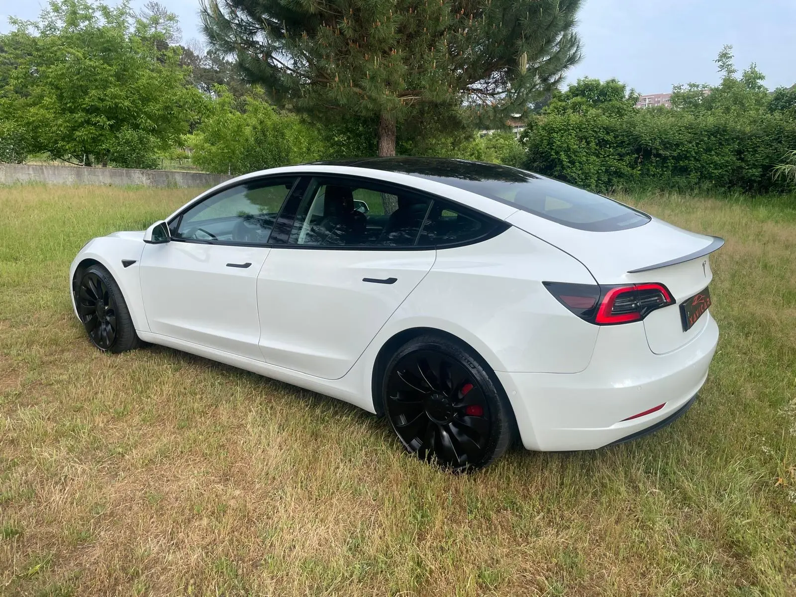 Tesla Model 3 Performance Dual Motor AWD 10