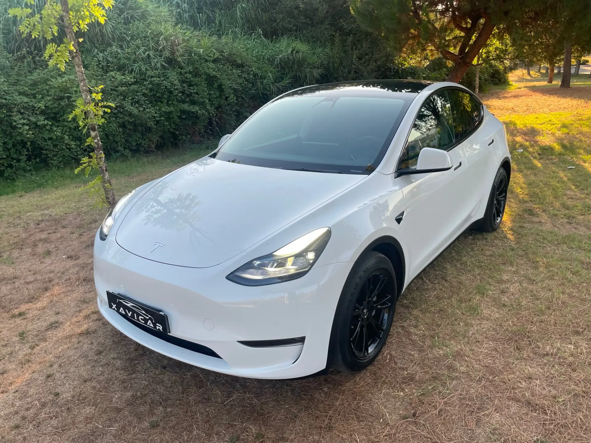 Tesla Model Y Long Range Dual Motor AWD 1